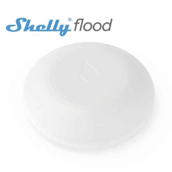 shelly-flood