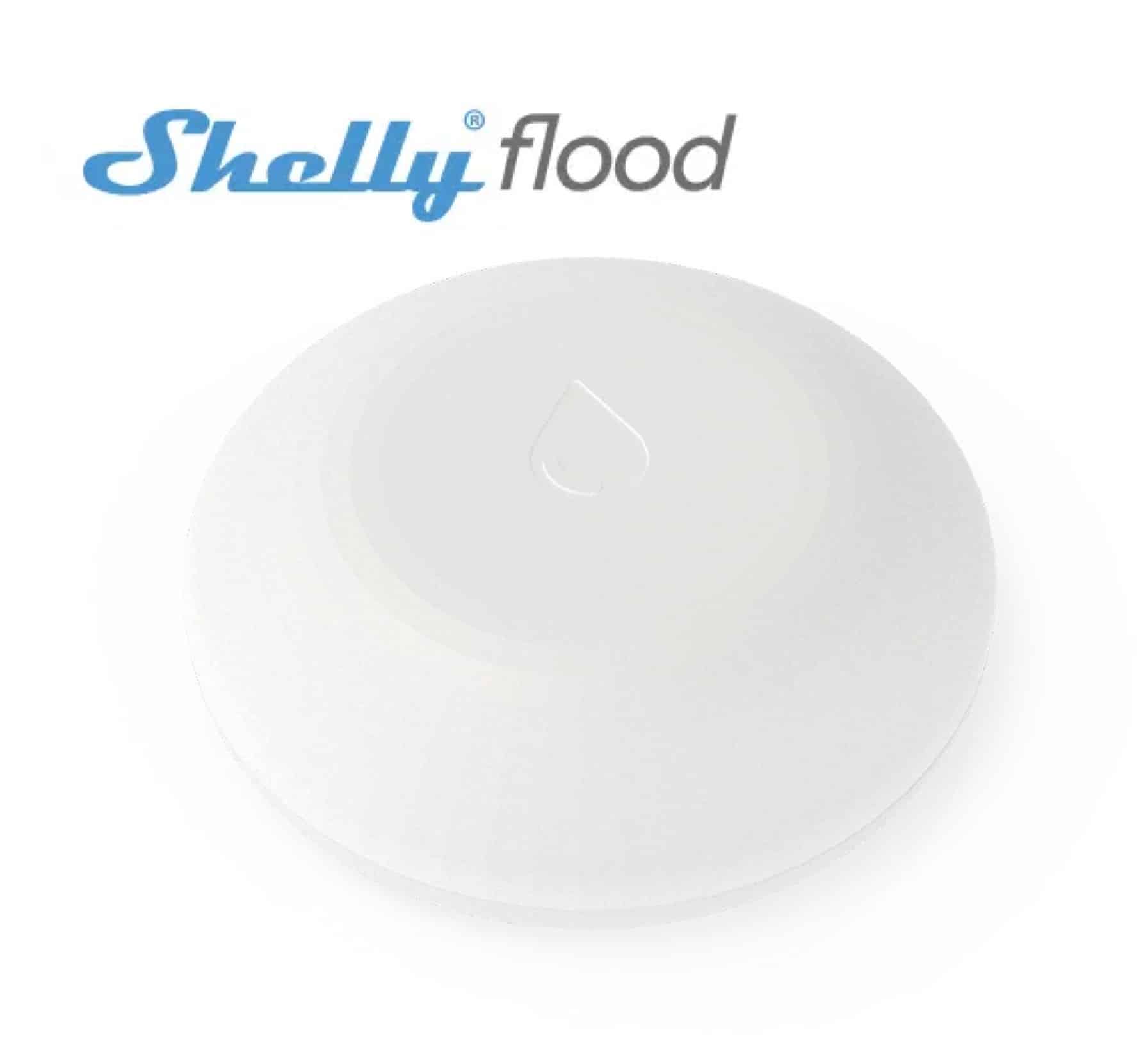 shelly-flood